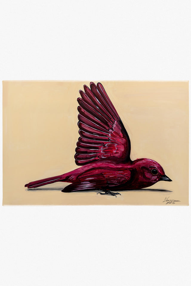 Akarat - Előrendelés!