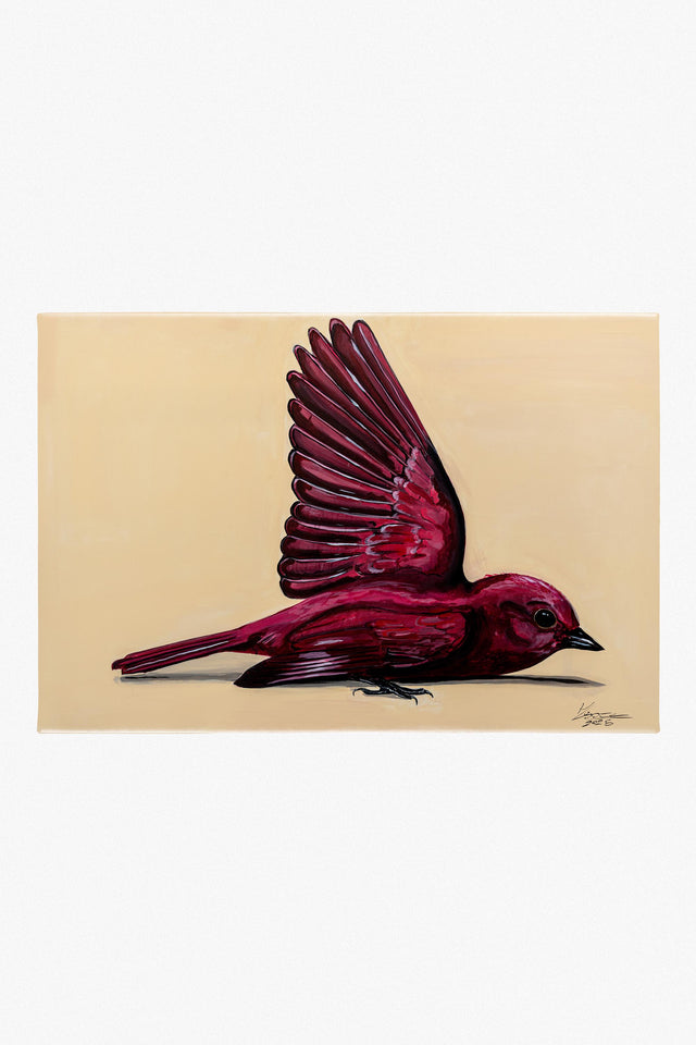 Akarat - Előrendelés!