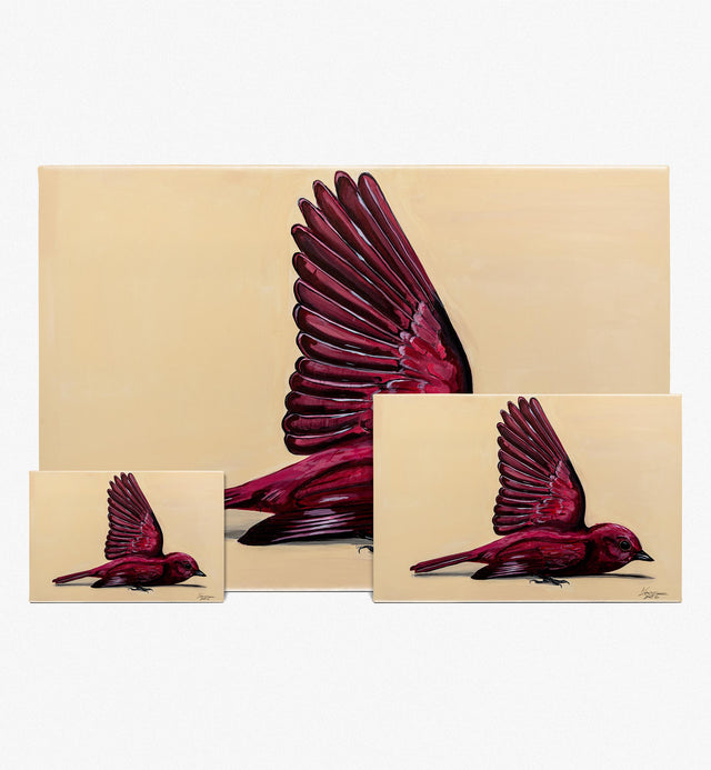 Akarat - Előrendelés!